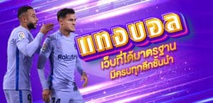 เว็บแทงบอลครอบคลุม